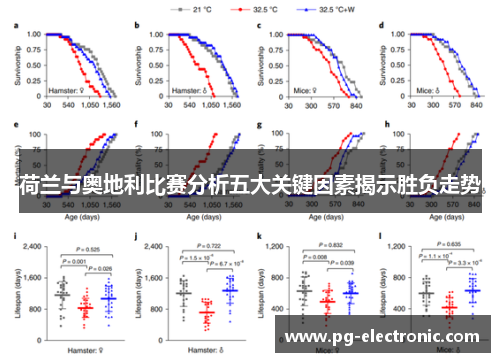 荷兰与奥地利比赛分析五大关键因素揭示胜负走势